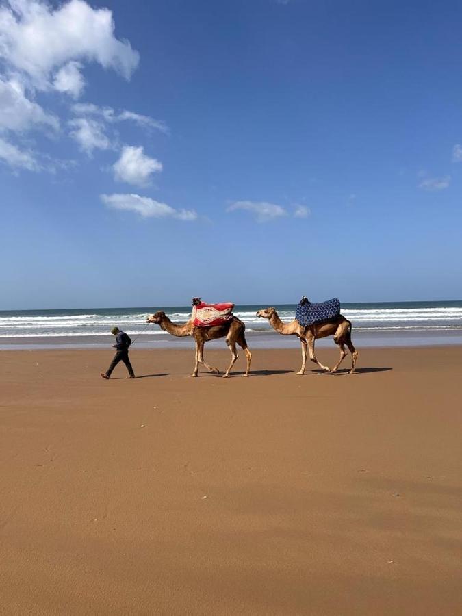 הוסטל טגזוט Dar Surf מראה חיצוני תמונה